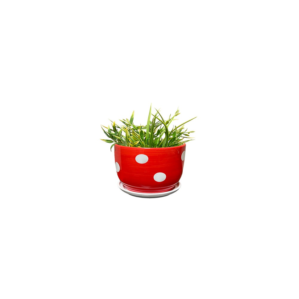 Mushroom Spotted Planter