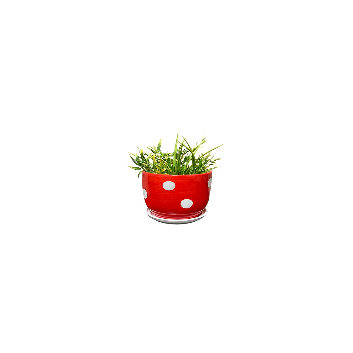 Mushroom Spotted Planter