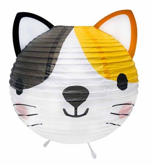 Paper Lantern - Kitty