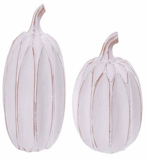 Lg Res White Washed Pumpkin