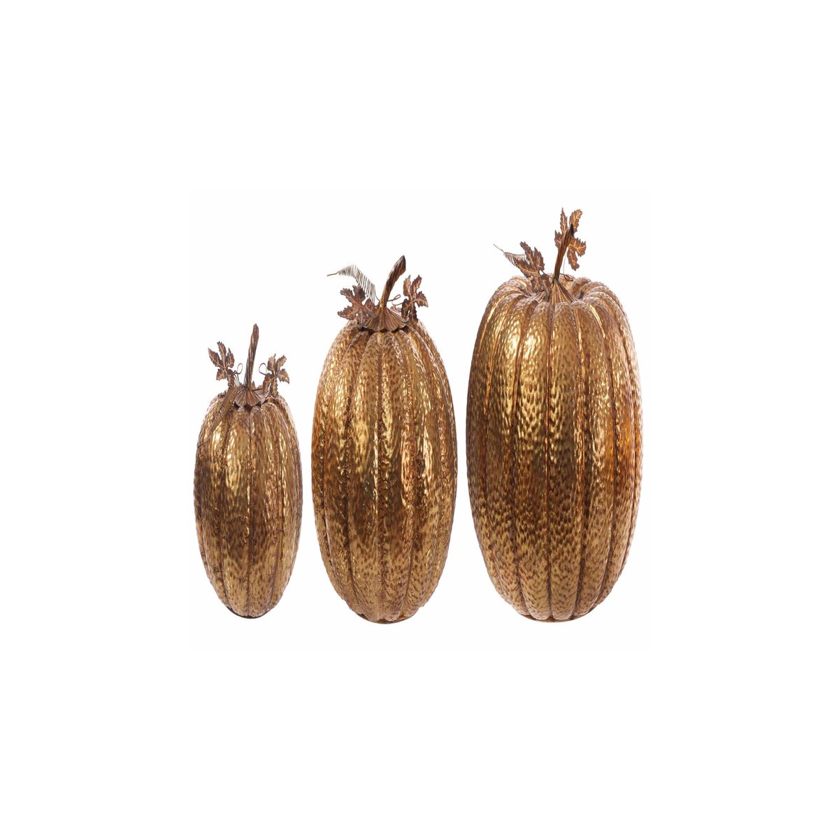 Md Gld Texture Pumpkin