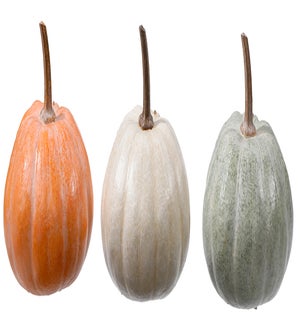 Md Res Pumpkin 3 Asst