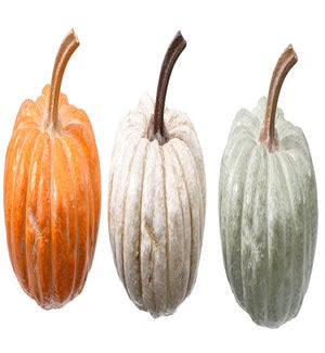 Lg Res Pumpkin 3 Asst