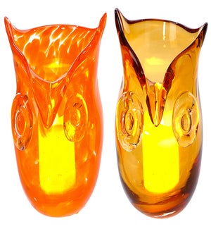 Glass Owl  C/H 2 Asst