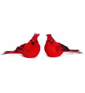 Medium.Red Cardinal 2 Asst