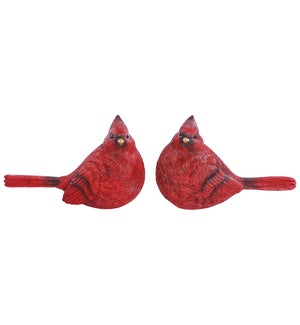 Md Rsn Cardinal 2 Asst