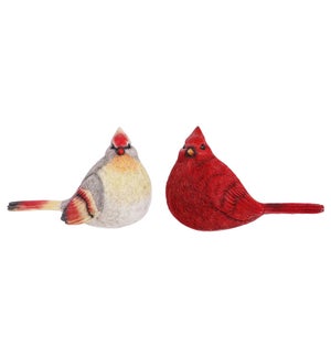 Lg Rsn Male/Female Cardinal 2 Asst