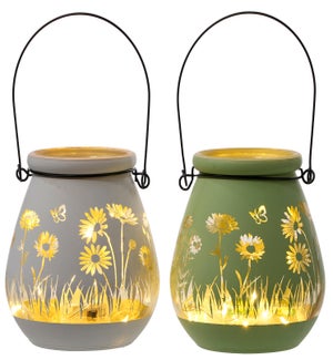 Glass Flower C/H in PVC Box S/2