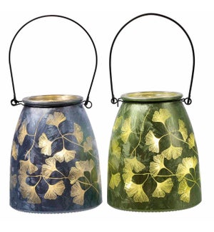 Glass Gingko Leaf Jar LED 2 Asst