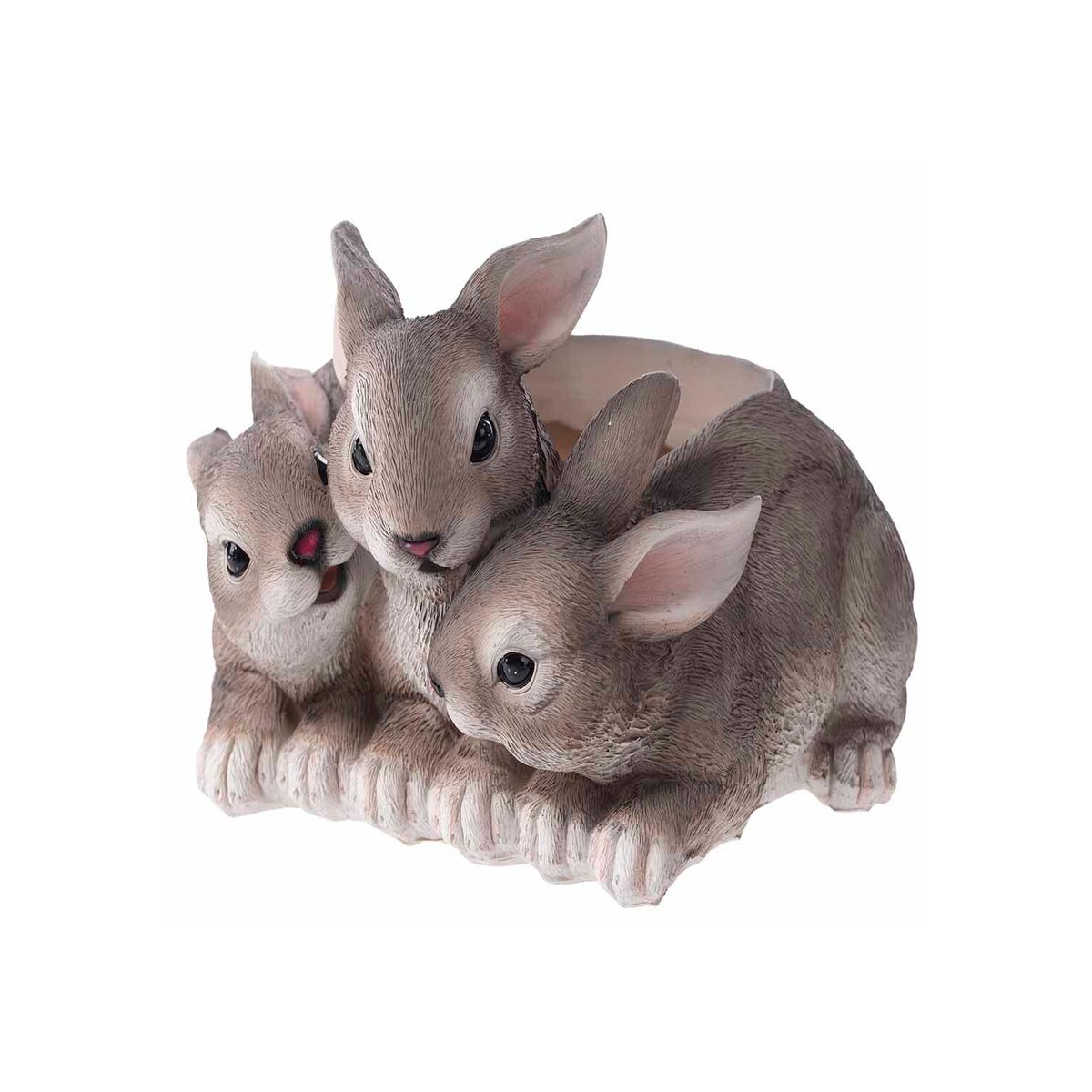 Res Triple Rabbit Container