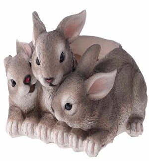 Res Triple Rabbit Container