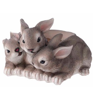 Res Triple Rabbit Container