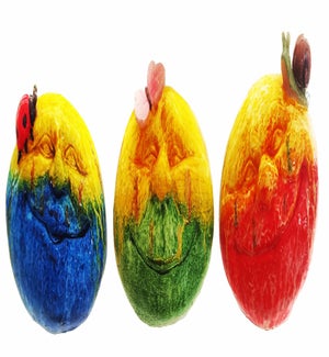 Lrg Res Shiny Squish Face Fig 3 Asst