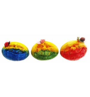 Lrg Res Shiny Squish Face Fig 3 Asst