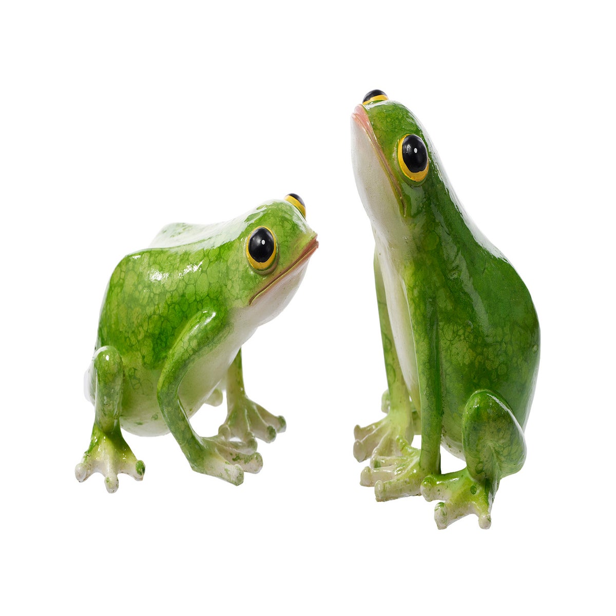 Lrg Res Shiny Frog Fig 2 Asst