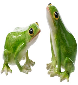 Lrg Res Shiny Frog Fig 2 Asst