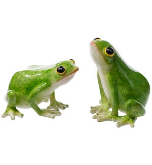 Lrg Res Shiny Frog Fig 2 Asst