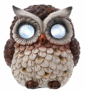 Lrg Res LED Owl