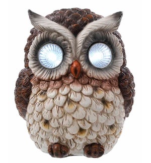 Lrg Res LED Owl