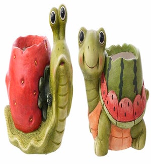 MGO Fruit Snail/Turtle Container 2 Asst