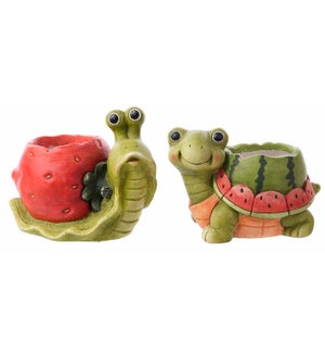 MGO Fruit Snail/Turtle Container 2 Asst