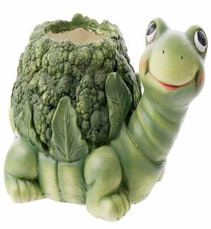 MGO Broccoli Turtle Container