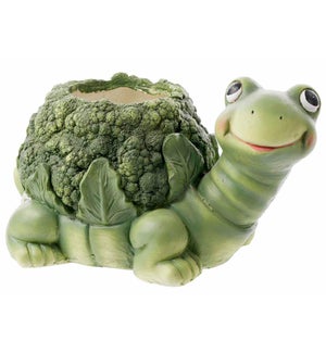 MGO Broccoli Turtle Container