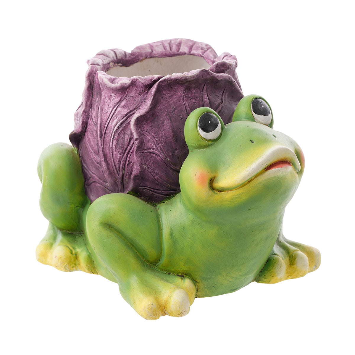 MGO Cabbage Frog Container