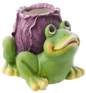 MGO Cabbage Frog Container