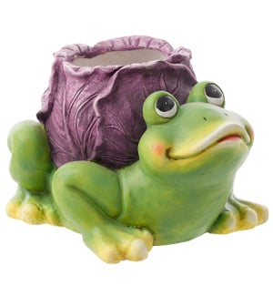 MGO Cabbage Frog Container
