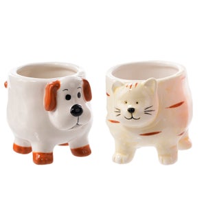 Cer Cat/Dog w/ Legs Container 2 Asst