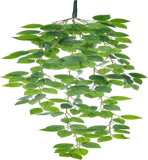 Flrl Leaf Bush Hang