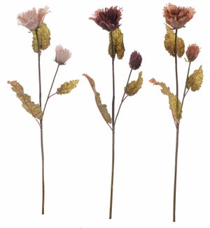 Floral Neutral Peony Stems 3 Asst