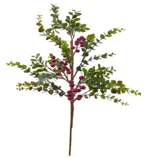 Floral Box Wood Berry Pick