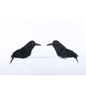 Fabric Crow S/2
