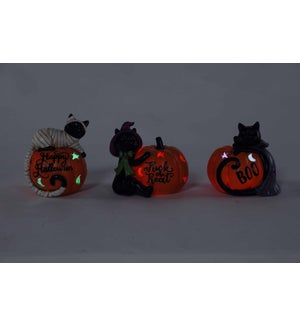 Resin Hall Cat/Pumpkin Glow 3 Asst