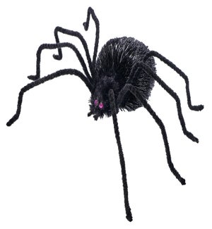 Black Woodland Spider