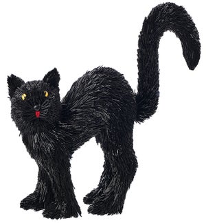 Blk Woodland Scary Cat