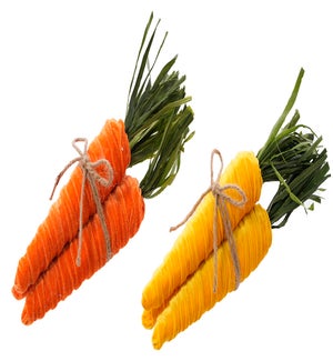 Fab Carrot Bundles 2 Asst