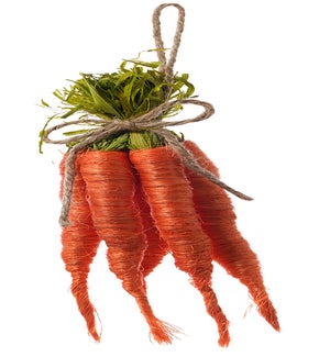Lrg Sisal Carrot Bundle Hang