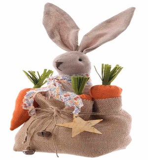 Bunny & Carrots in Bag