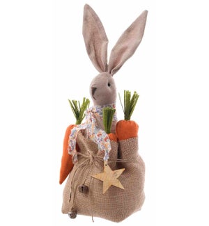 Bunny & Carrots in Bag