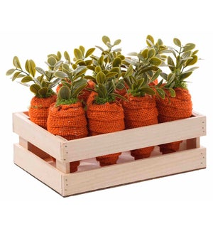 Burlap Carrot in Crate s/10