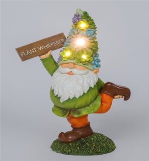 Rsn Succ Plant Whisperer Glow Gnome