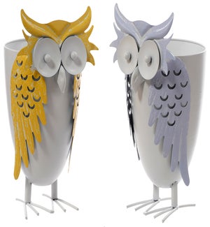 Lrg Mtl Owl Container