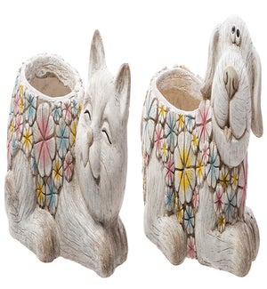 MGO Colorful Flower Dog/Cat Container 2 Asst