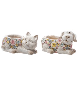 MGO Colorful Flower Dog/Cat Container 2 Asst