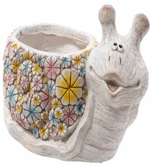 MGO Colorful Snail Container
