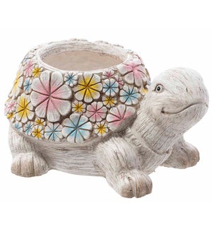 MGO Colorful Turtle Container