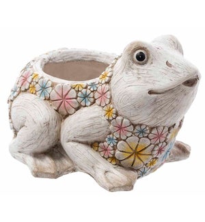 MGO Colorful Frog Container